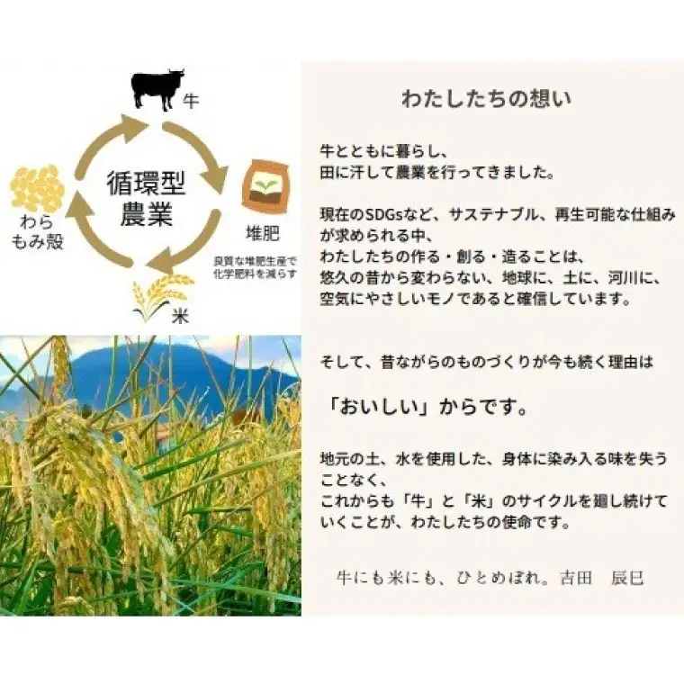 【新米】令和8年産 ひとめぼれ 精米 5kg 白米 DZ006