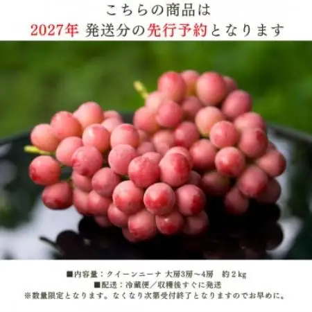 【2027年発送 先行受付】特選クイーンニーナ 3房～4房 約2kg【配送不可地域：離島】【2000610】
