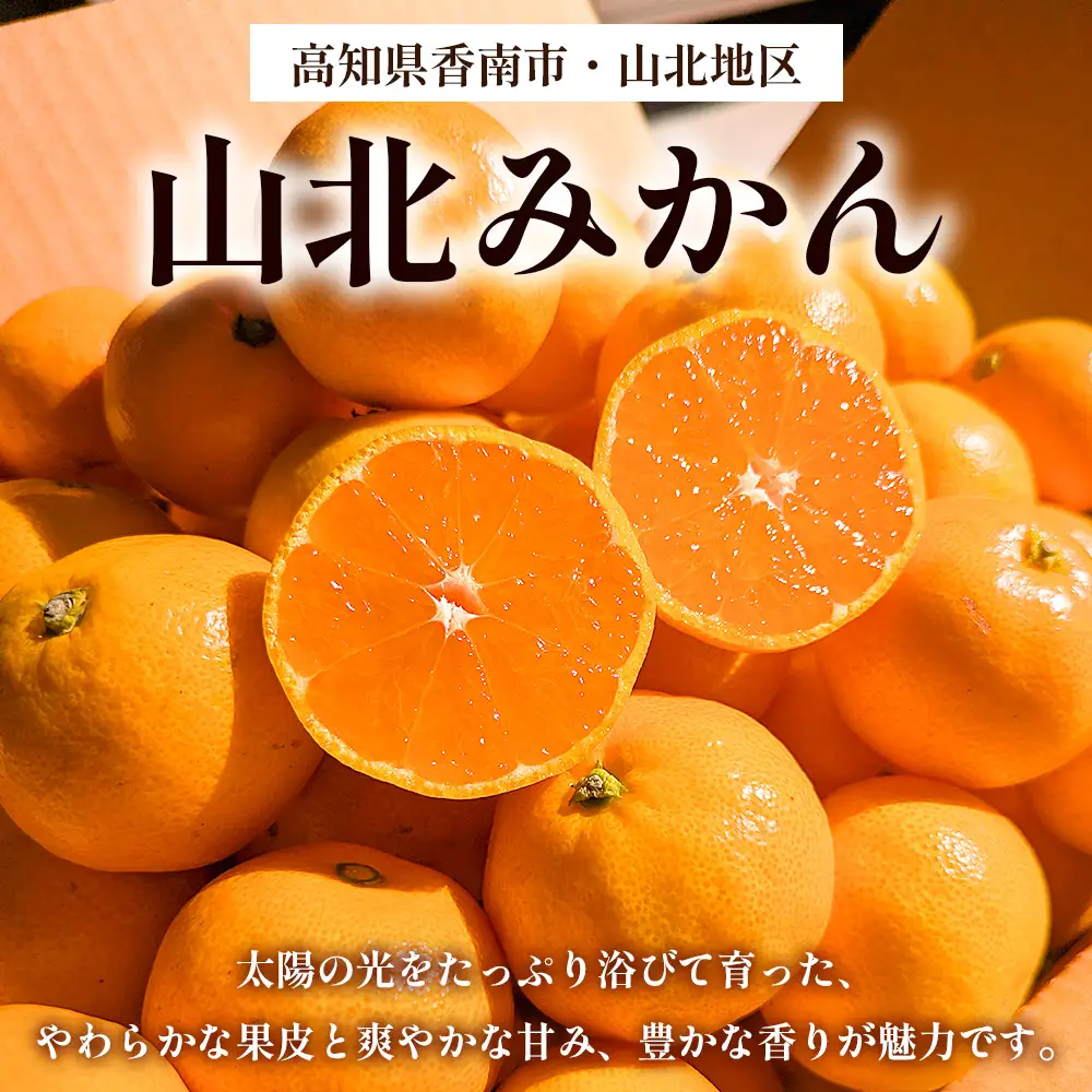 山北みかん（露地） 5.0kg 家庭用 sq-0003