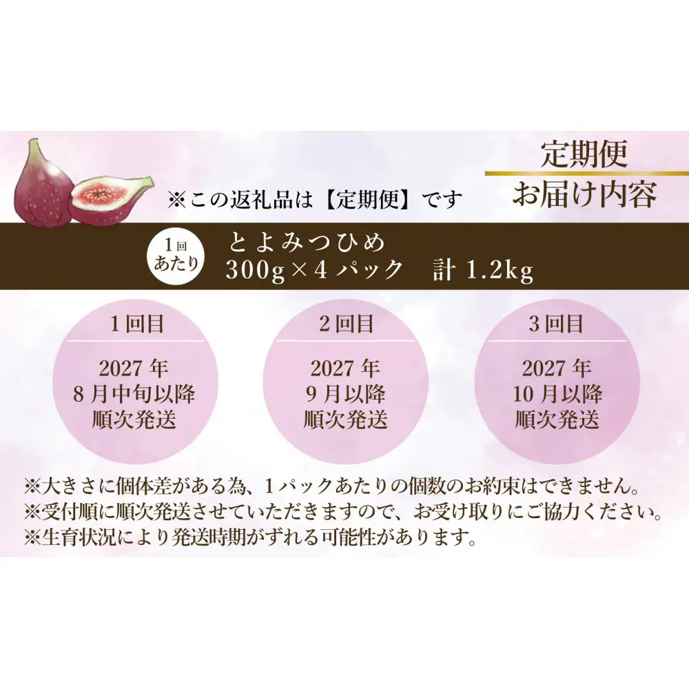 【定期便3回】【先行予約】【福岡限定ブランド】いちじく とよみつひめ 300g×4パック (約1.2kg)※2027年8月以降発送