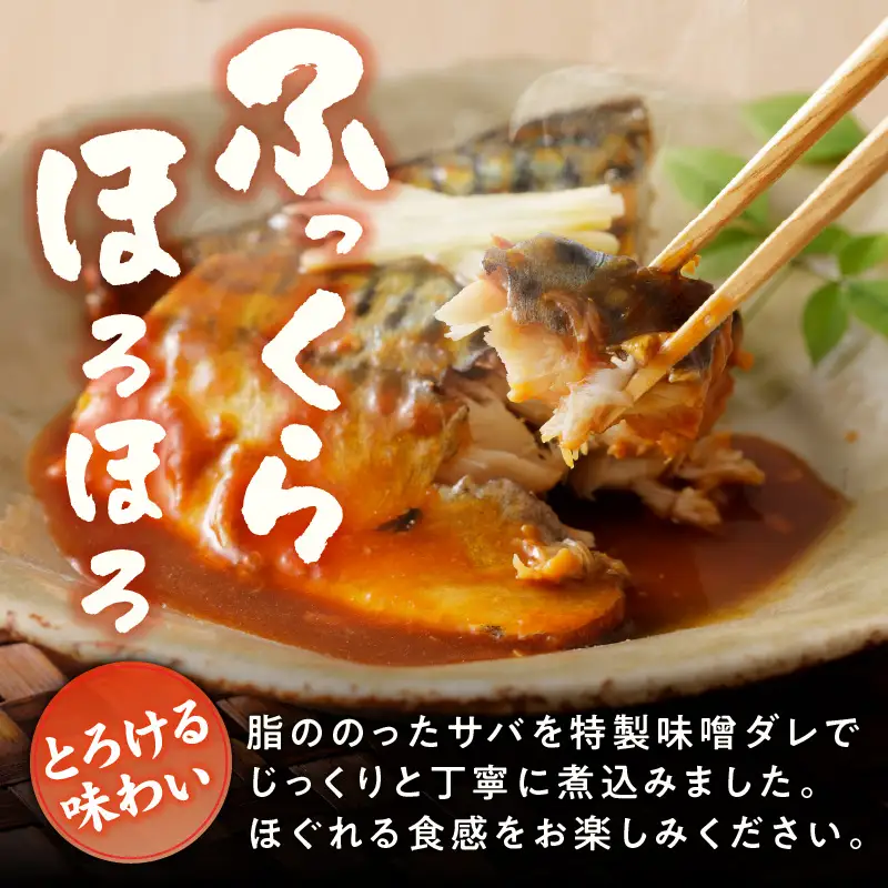【先行予約】サバの味噌煮 10食 合計800g