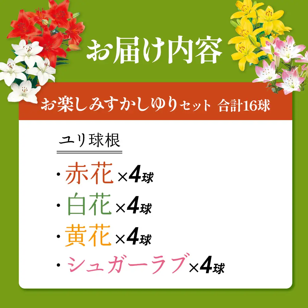 【期間限定】ユリ球根　お楽しみすかしユリセット 4種16球 フラワー 園芸 ガーデニング 植物 高品質 送料無料
