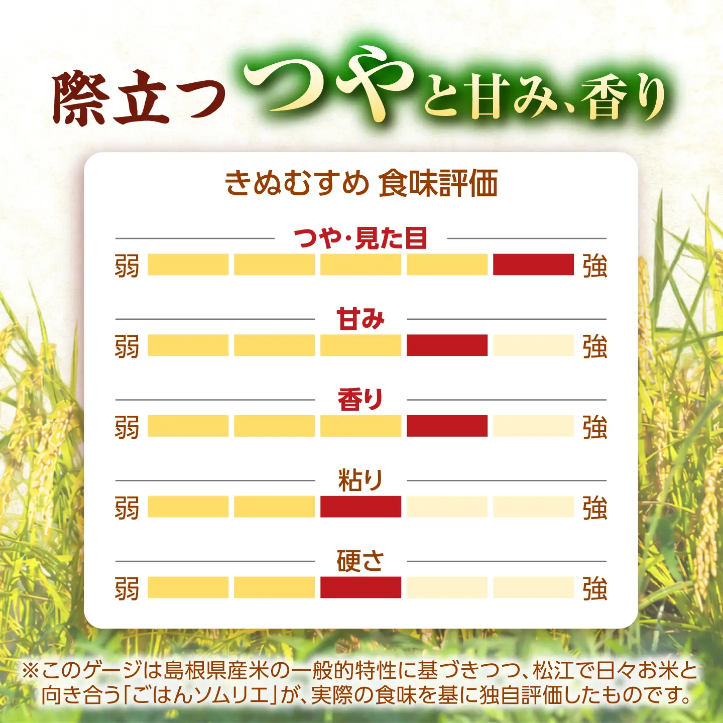 令和8年産 新米 きぬむすめ 5kg 3回定期便 新米[ALCG015-R83]