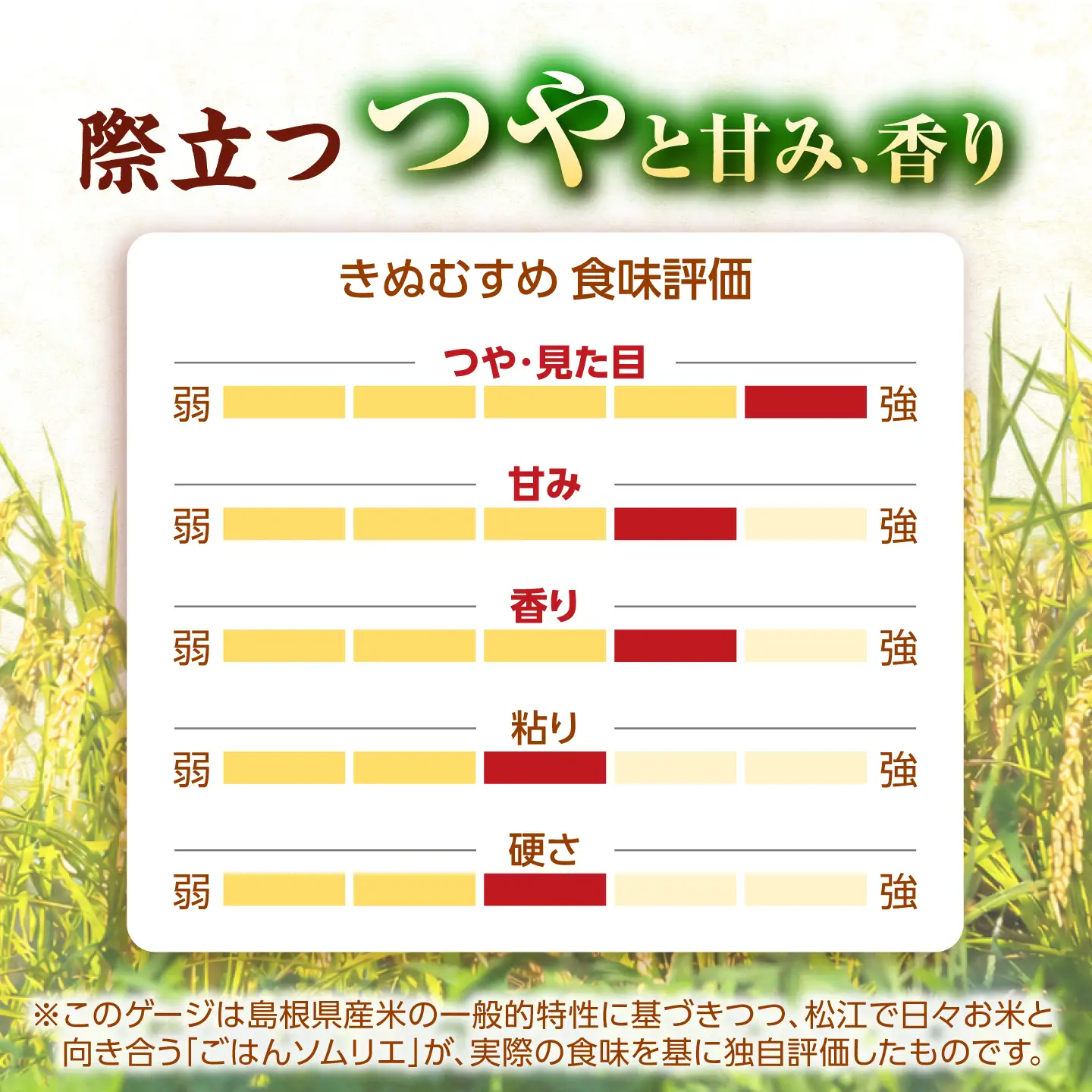 令和8年産 新米 きぬむすめ 10kg 3回定期便 新米[ALCG001-R83]