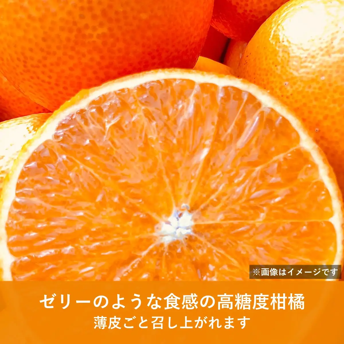 【先行受付】八幡浜産 愛果28号（紅まどんなと同品種）訳あり 家庭用 3kg【108-4】YWTBX004