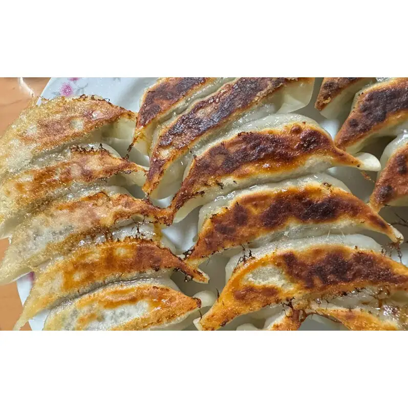 餃子 わかさ食美恵ぎょうざ　20個入り×3パック 冷凍 鹿肉 パック 若狭 福井県 おおい町