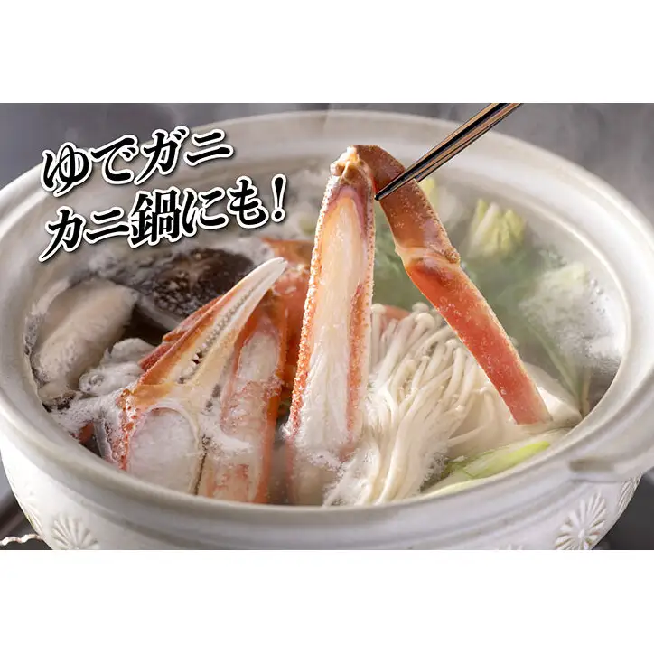 【11/15～30出荷】越前ガニ 900g～1.1kg 1杯 【大サイズ】