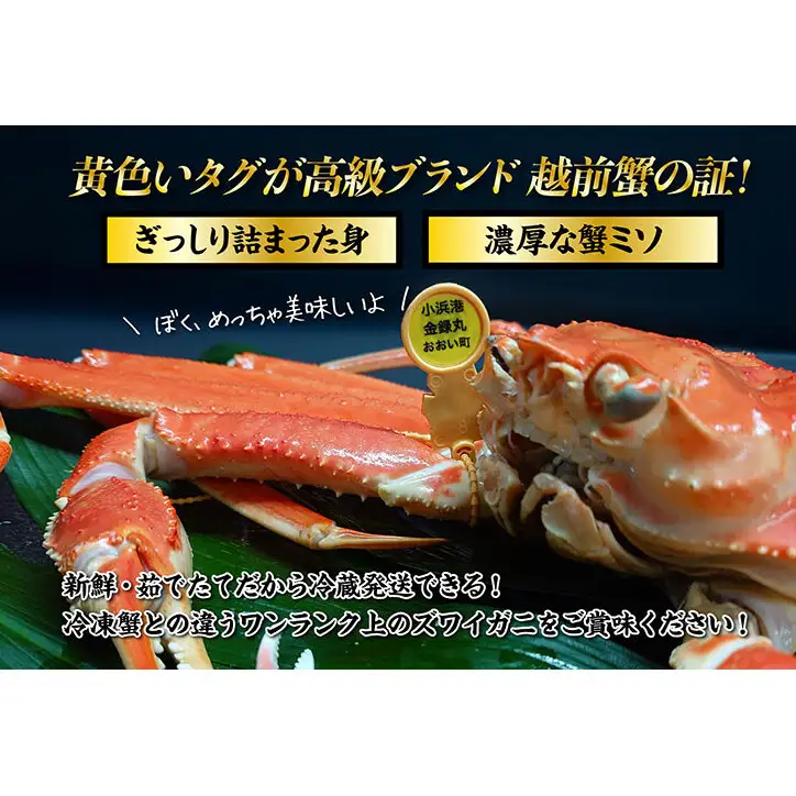 越前ガニ 極みブランド 極上品 1.5kg