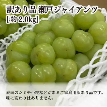 【2026年発送】訳あり品 瀬戸ジャイアンツ(丸ごとぱっくん) ご家庭用/約2kg (岡山県産)【配送不可地域：離島・北海道・沖縄県】【1678512】
