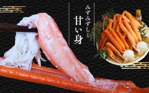 訳あり 浜茹で 国産ベニズワイガニ 5～7肩 1kg以上 カニ酢付き 19-16