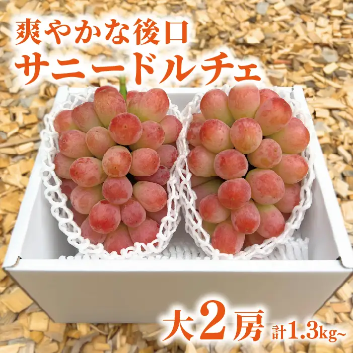 希少品種 爽やかな甘みの サニードルチェ 特大2房 計1.3kg～ 【KF-B099-01】