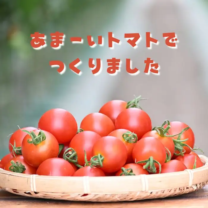 江口農園　驚くほど甘い！トマトジュース　150ml×5本　飲みきりサイズ　北海道産　食塩無添加　アイコ・シンディースイート使用