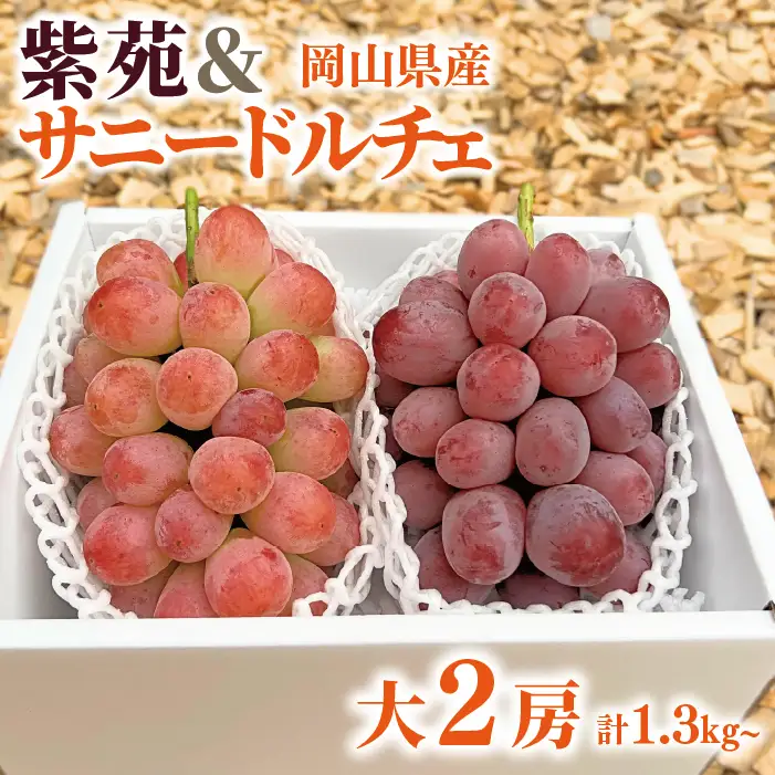 紫苑＆サニードルチェ 特大2房 計1.3kg～ (岡山県産) 【KF-B101-01】