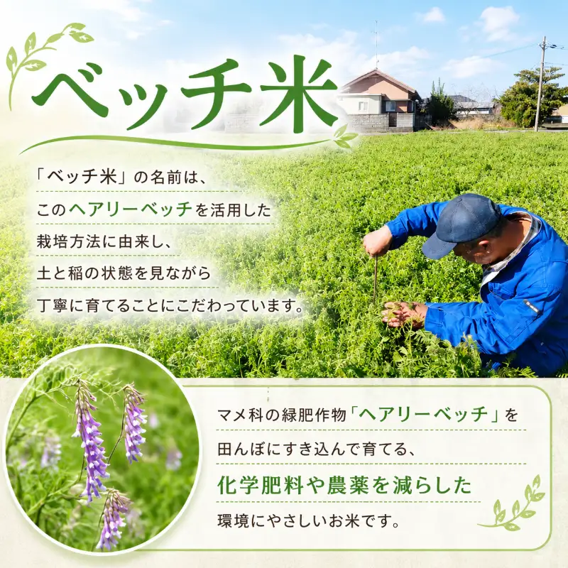 ベッチ米プレミア徳島県産コシヒカリ定期便