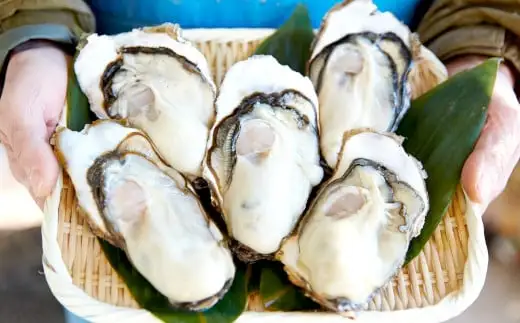 【4月後半発送予定】大和田家の牡蠣 『むき身牡蠣』 約750g 加熱用 【 かき カキ 牡蠣 三陸 広田湾 濃厚 むき身 】RT3320-4-2