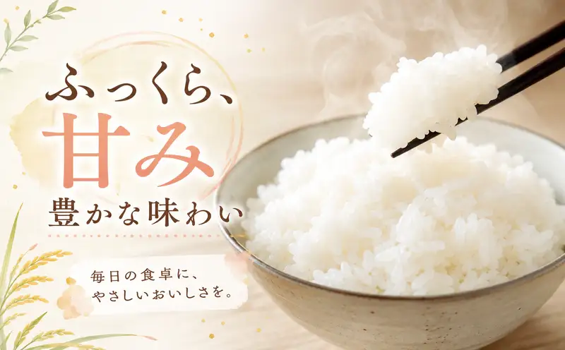 令和8年産 新米 こしひかり 2kg 12回定期便 新米