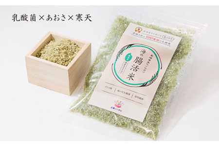 【12回定期便】特許製法の無洗米「海の腸活米」1.2kg×12回 計14.4kg【出島トンボロ】 [VD06]