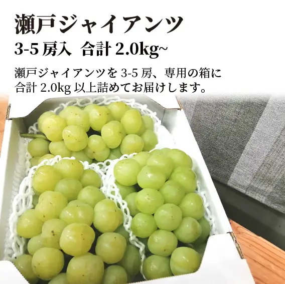 岡山県産 瀬戸ジャイアンツ 3-5房 約2kg～ 【KF-B047-01】