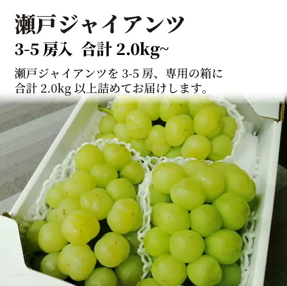 岡山県産 瀬戸ジャイアンツ 特選品 約2kg～ 【KF-B048-01】