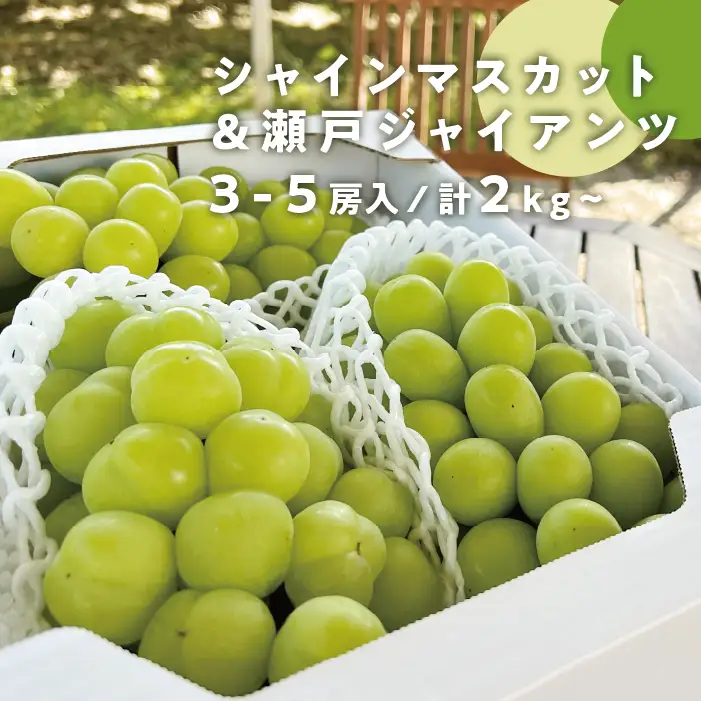 シャインマスカット&瀬戸ジャイアンツ 2kg 人気品種セット 【KF-B080-01】