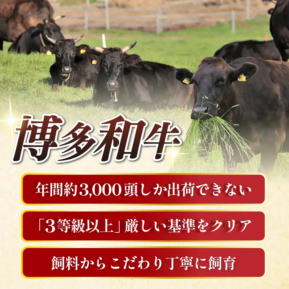 博多和牛 ヒレ シャトーブリアン 150g × 2枚 [ABCL179] ヒレ肉