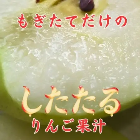 【青森産】 もぎたてりんご 3kg(7～12玉)【訳あり・家庭用】【配送不可地域：離島・沖縄県】【2002990】