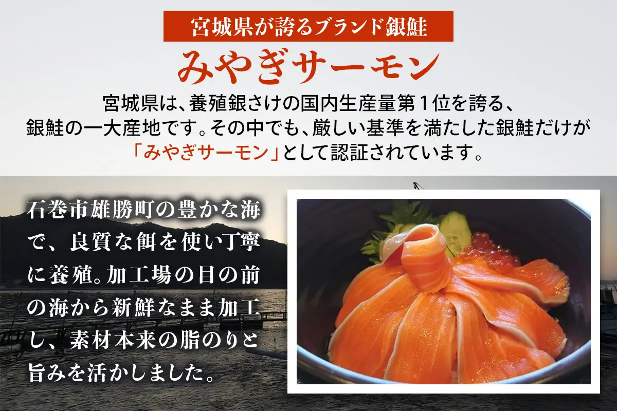 末永九兵衛商店 みやぎサーモン(小骨処理済み・800g以上) [0372]