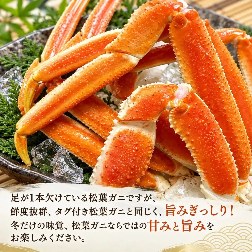 【魚倉】足1本なし生松葉ガニ訳あり 中 約650g【期間限定】_T2600545