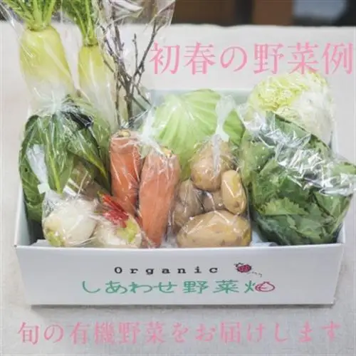 【毎月定期便】オーガニックビレッジ・有機農業の会、「有機野菜セット」(Lセット)、全12回【配送不可地域：離島・北海道・沖縄県・四国・九州】【4094426】