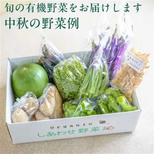 【毎月定期便】有機野菜(Lセット)6回便/有機JAS認証・有機農業の会・オーガニック掛川・全6回【配送不可地域：離島・北海道・沖縄県・四国・九州】【4094427】
