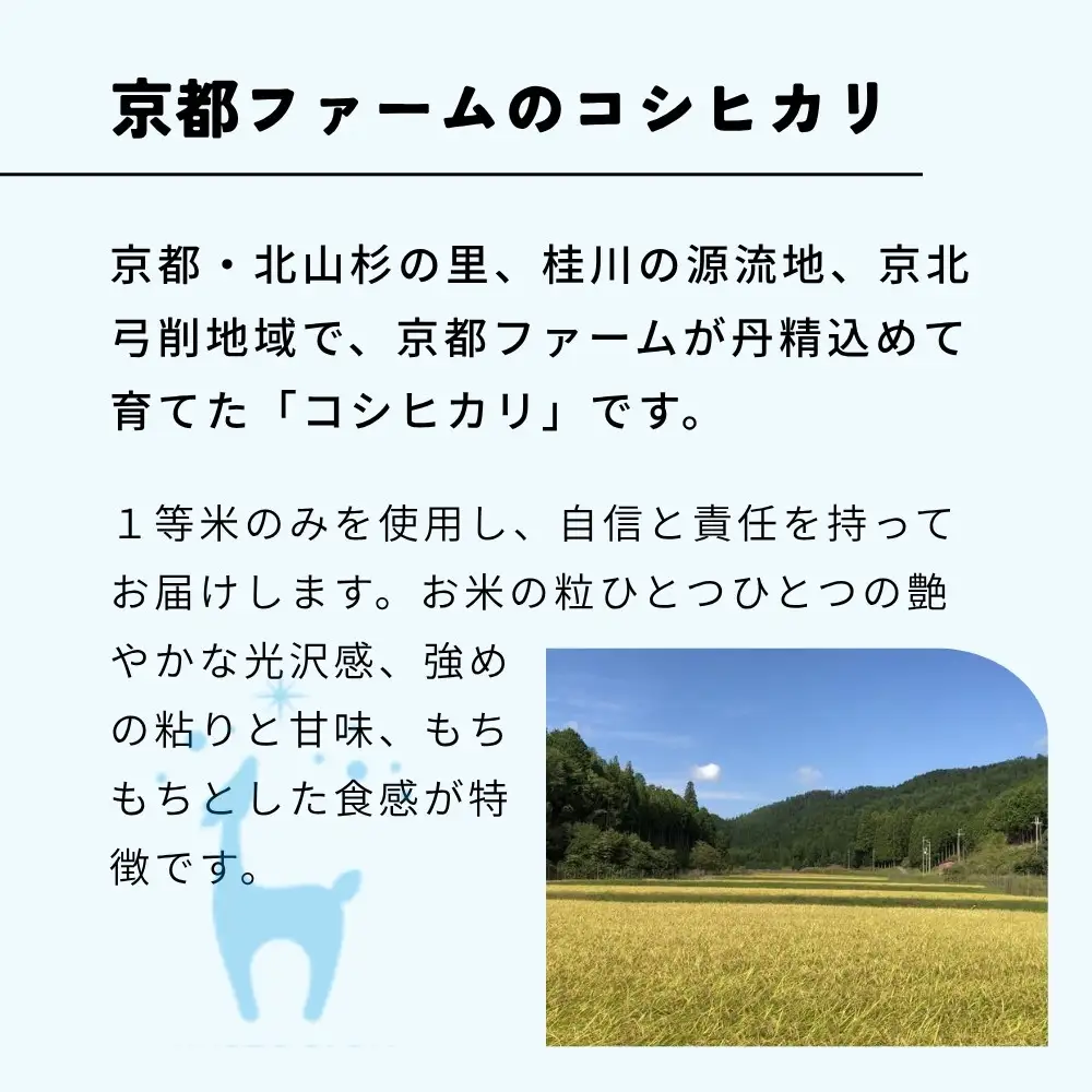 【京都ファーム】新米 コシヒカリ 精米 10kg 11月発送 令和8年産