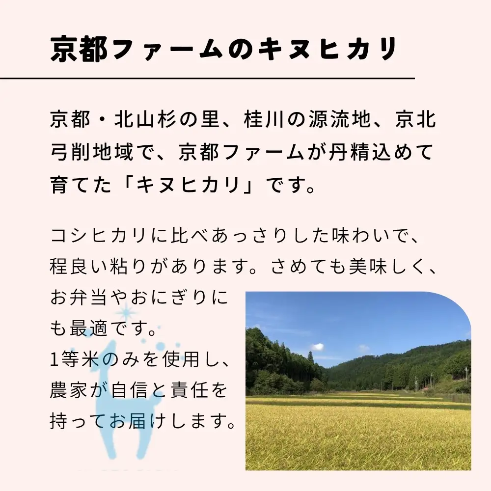 【京都ファーム】新米 キヌヒカリ 精米10kg 12月発送 令和8年産