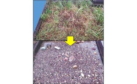 市営墓地前平霊苑区画内清掃委託業務 | 太陽の家 年4回 墓 お墓 墓掃除 お墓掃除 墓地清掃 除草 M14S50