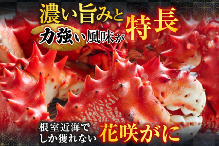 【北海道根室産】花咲かに400g前後～550g前後×3尾 A-36029