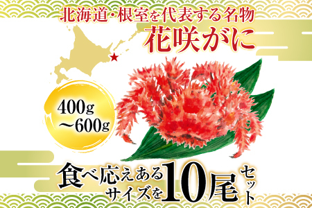 【北海道根室産】花咲かに400～600g×10尾 D-36007