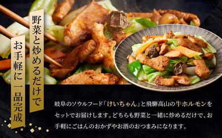 牛ホルモン3袋＋けいちゃん2袋セット | レトルト 簡単調理 郷土料理 飛騨高山 高山米穀協業組合 FA002