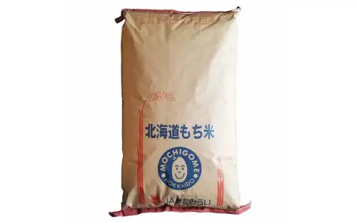 《7営業日以内に発送》令和7年産 北海道産きたゆきもち 玄米 30kg ( 米 お米 モチ米 もち米 餅 赤飯 ぼたもち おはぎ 美味しい 北海道 )【080-0094】