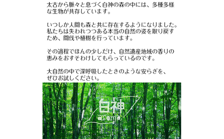 世界自然遺産白神山地から生まれたお茶 「くろもじ茶」 2g×6包 飲料類 ティーパック 