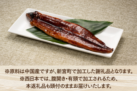 A1440.うなぎの蒲焼２尾＆デミ味ミート＆照り焼きチキンボール４０個（２種×２０個）【新宮町レインボーセット】