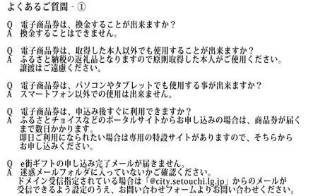 電子商品券　瀬戸内市e街ギフト（3,000円分） チケット 
