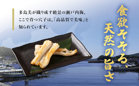 穴子 先行予約 山銀商店 白焼き あなご (合計約300g) 
