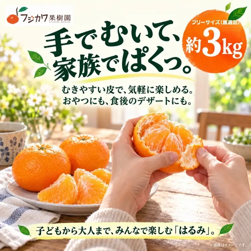 はるみ みかん 約3kg 柑橘 香川県産 国産 デコポン 清見 ポンカン 交配種 手で皮がむける フリーサイズ 無選別 フジカワ果樹園 果実 中晩柑 はるか 日向夏 甘い セミノール オレンジ おすそ分け ギフト 贈り物 手土産 贈答用 フルーツ 香川県 観音寺市