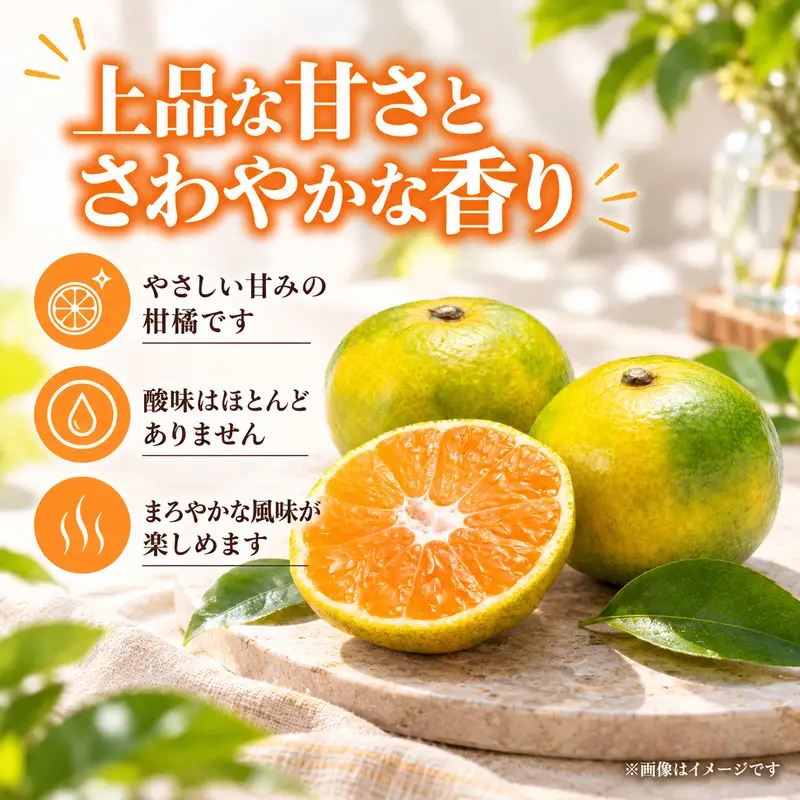 スイートスプリング 約5kg 果物類 みかん 柑橘類 フルーツ