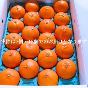 《とろける美味》 せとか 約3kg 甘い みかん （ お取り寄せ おすすめ 美味しい せとかみかん せとかふるさと納税 季節限定 柑橘 蜜柑 かんきつ フルーツ 青果 果物 くだもの 贈り物 特産品 ） 香川県観音寺市