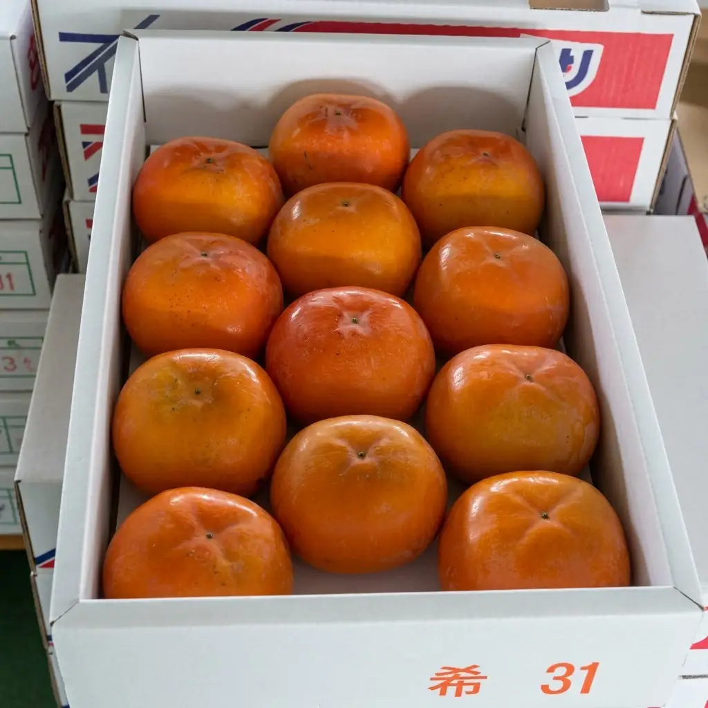 富有柿 約3.5kg 果物類 フルーツ 柿