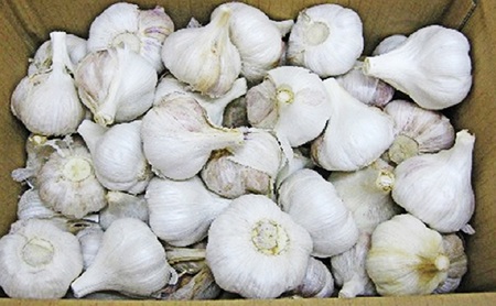 乾燥にんにく約2.5kg 野菜 大蒜 ニンニク　 