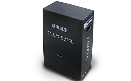 アスパラガス さぬきのめざめ 夏芽 細物 アスパラガス【約800g】