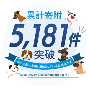 ペットシーツ わんわんサラ・シート レギュラー 犬用 ペットシーツ【200枚×4袋】