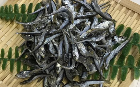 中野海産のこべらじゃこ 500g じゃこ