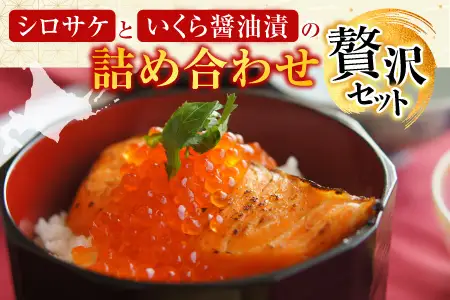 ＜鮭匠ふじい＞鮭・いくら詰合せ A-42064